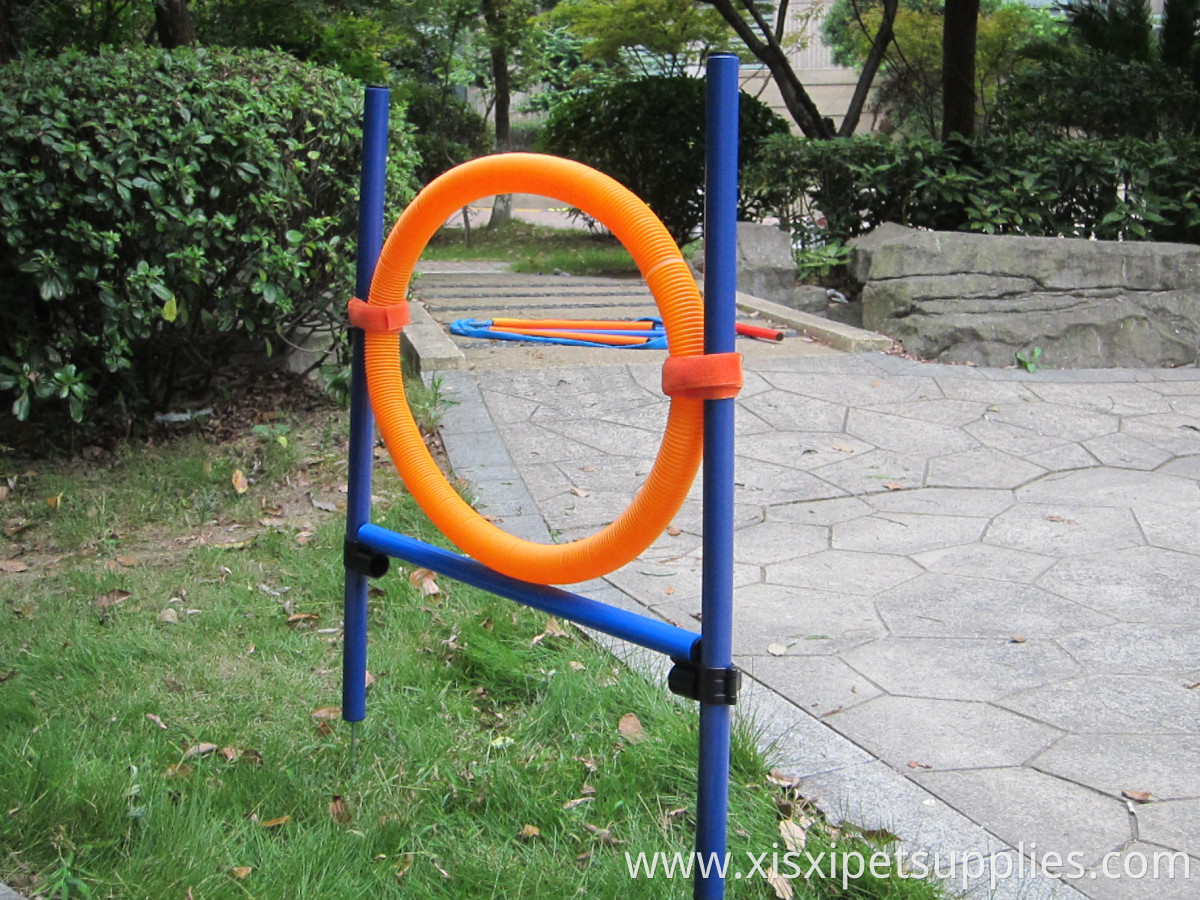 High Quality Pet Training Outdoor Dog Agility Equipment Kit Jumper Circle Dog Toy